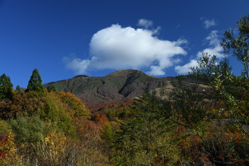 Fototapeta premium 秋田駒ケ岳 1