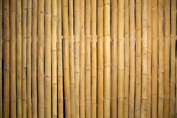 bamboo fence or wall texture background