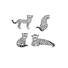 Set of baby leopard in doodle style, vector illustration.
