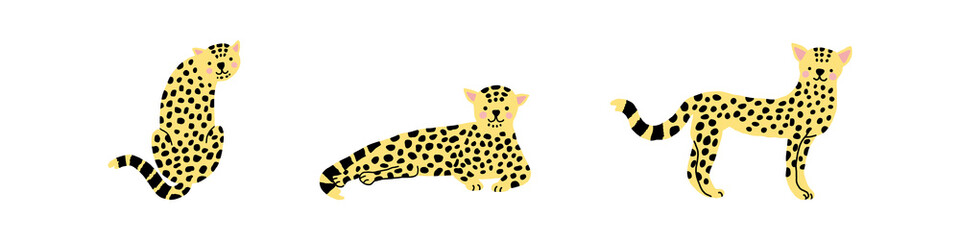 Baby leopard in different poses, vector illustration.