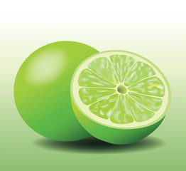 Fresh Lemon Lime, Sliced and Whole Fruit, Realistic Vector