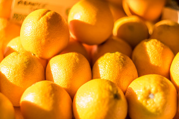 Oranges at the market