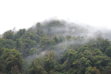Georgia. Mountains and rivers of wildlife. The beauty and wealth of Georgia is forests and rivers.