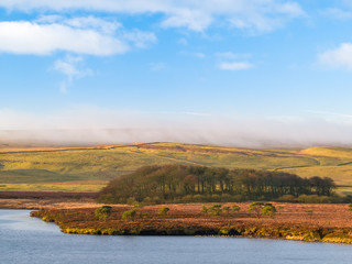 Blue Sky on a Winter Morning, Tarn Moss, Malham Tarn, Yorkshire, England