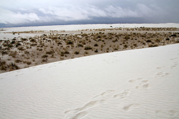 National monument White Sands in New Mexico, USA