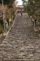 Fototapeta premium かいだん