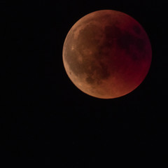 Full moon and red blood eclipse phases 
