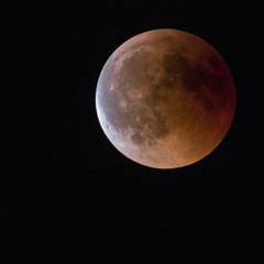 Full moon and red blood eclipse phases 