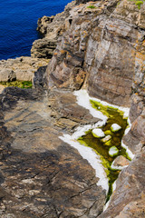 Picturesque granite boulders and green algae on the coast of the Crozon Peninsula. Brittany. France