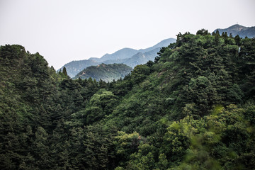 Fototapeta na wymiar Great Wall of China in summer landscape. 