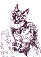 Hand-drawn brown marker sketch sit cat
