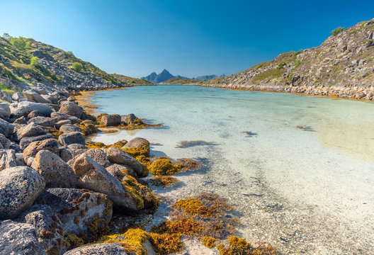 Lofoten beach in sunny summer day, Norway, Skrova island