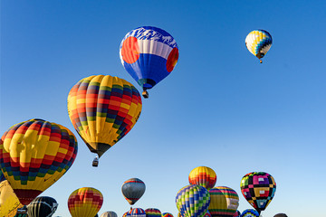 Obraz premium Balony wznoszące się na Albuquerque Balloon Fiesta