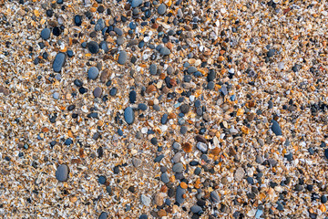 Small pebbles and shellrock background