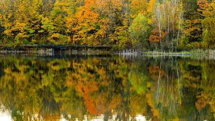 autumn leaves reflecting in water