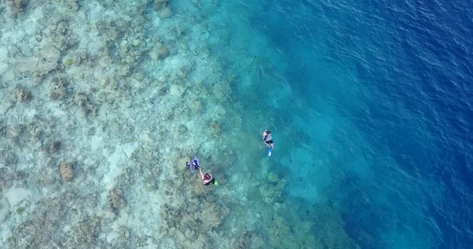 Tourists snorkeling and exploring marine life, Porto De Galinhas, Brazil, Incredible Sea With Coral Reef.
