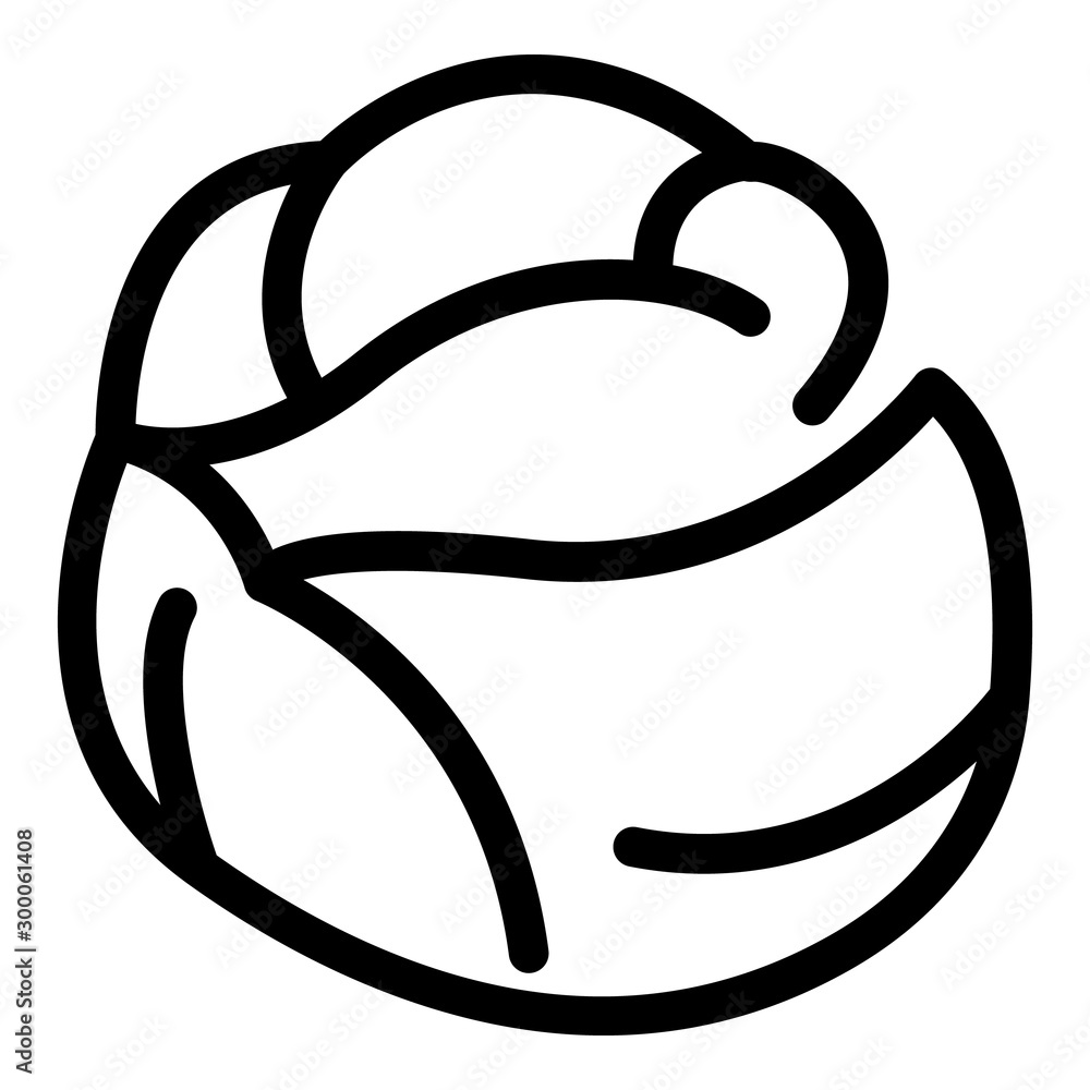 Poster natural cabbage icon. outline natural cabbage vector icon for web design isolated on white backgroun