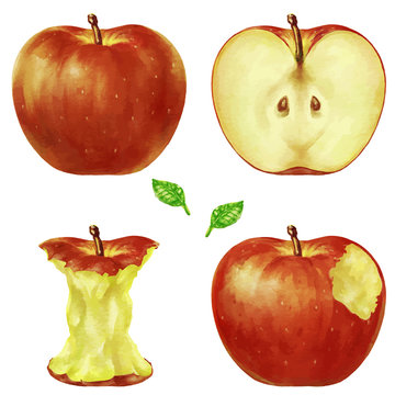 かじった林檎 のストック写真 ロイヤリティフリーの画像 ベクター イラスト Adobe Stock