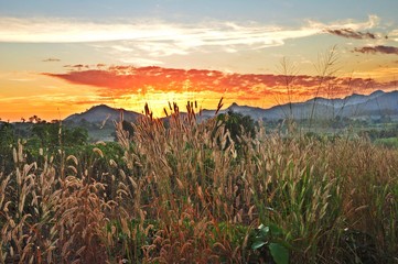 Sun rise in the mountain through grass field