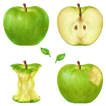 436 Best 青林檎 Images Stock Photos Vectors Adobe Stock