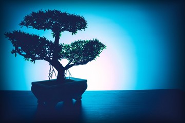 Background with bonsai tree, backlit.