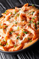 Penne alla vodka is a pasta dish made with vodka, usually made with heavy cream, crushed tomatoes, onions close-up on the table. Vertical
