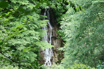 木々の間がら見える滝