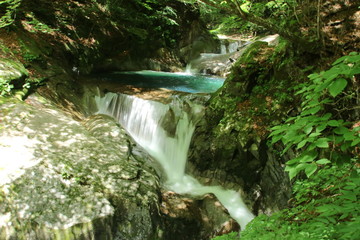 Obraz premium 西沢渓谷の滝