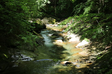 西沢渓谷の清流 