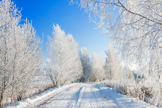 snowy winter landscape with forest and road