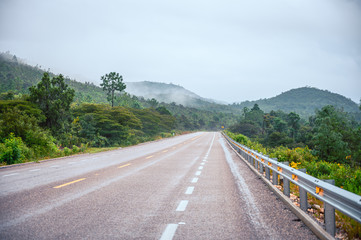 Road in the middle of the forest on a cloudy day with fog in the background