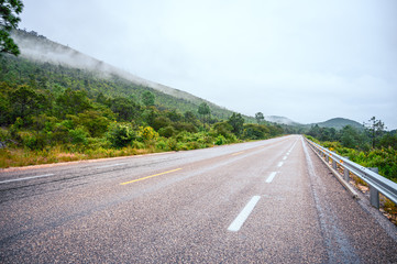 Road in the middle of the forest on a cloudy day with fog in the background