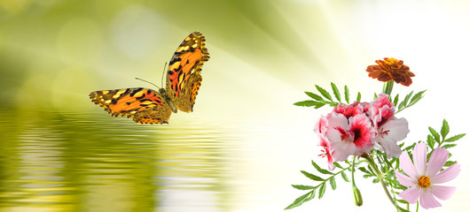 butterflies and flowers above water closeup