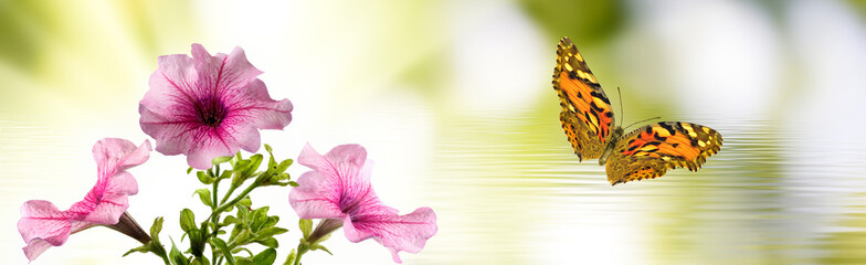 butterflies and flowers above water closeup