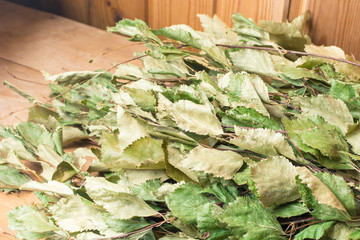 Green birch broom on a bench in the bath