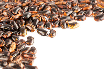 Fototapeta premium Scarlet runner beans