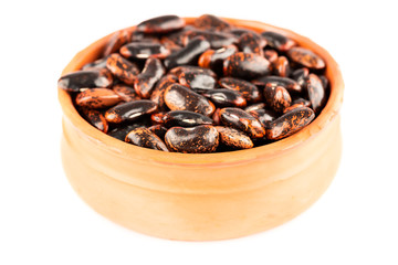 Scarlet runner beans