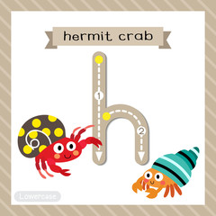Letter H lowercase tracing. Colorful Hermit Crab