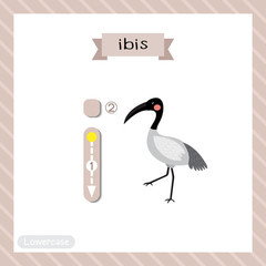 Letter I lowercase tracing. Ibis bird