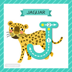 Letter J uppercase tracing. Walking Jaguar