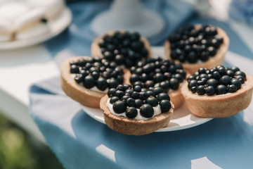 Blueberry tartlet. Blue tablecloth on the table. Sunny day.