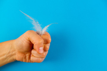 Feather in fist