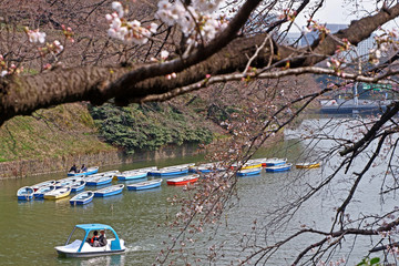 Japan outdoor park river with colorful sight seeing boat in sunny day