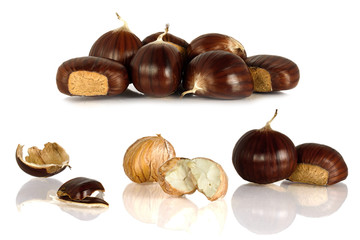 Collage. Group of sweet chestnuts isolated on white background