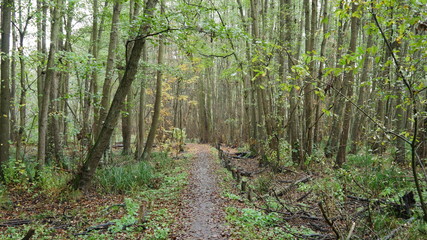 Moorweg 06