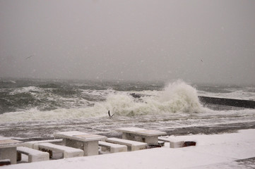 winter landscape with sea and snow