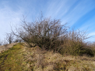 Dry desert hillsides in summer with blue cloudy sky