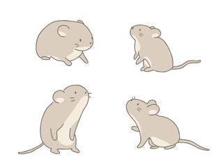 カヤネズミ
