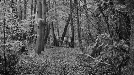 Obraz premium Brücke am Zülowsee 02