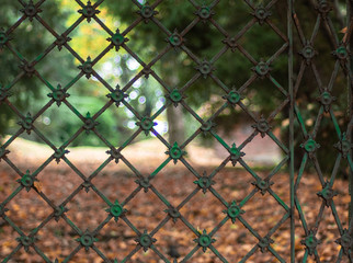 autumn landscape in a park seen through a beautiful metal fence